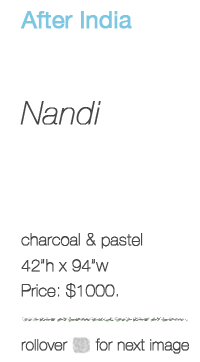 Nandi specs
